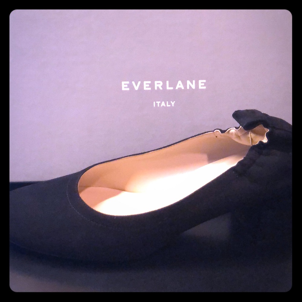 Everlane Suede Shoes- The Day Heel